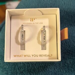 Lumina: Illuminated Intentions Rhodium on CZ Earrings